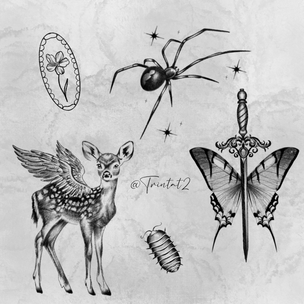 Guest Spot Seattle, Wa Feb 23-25