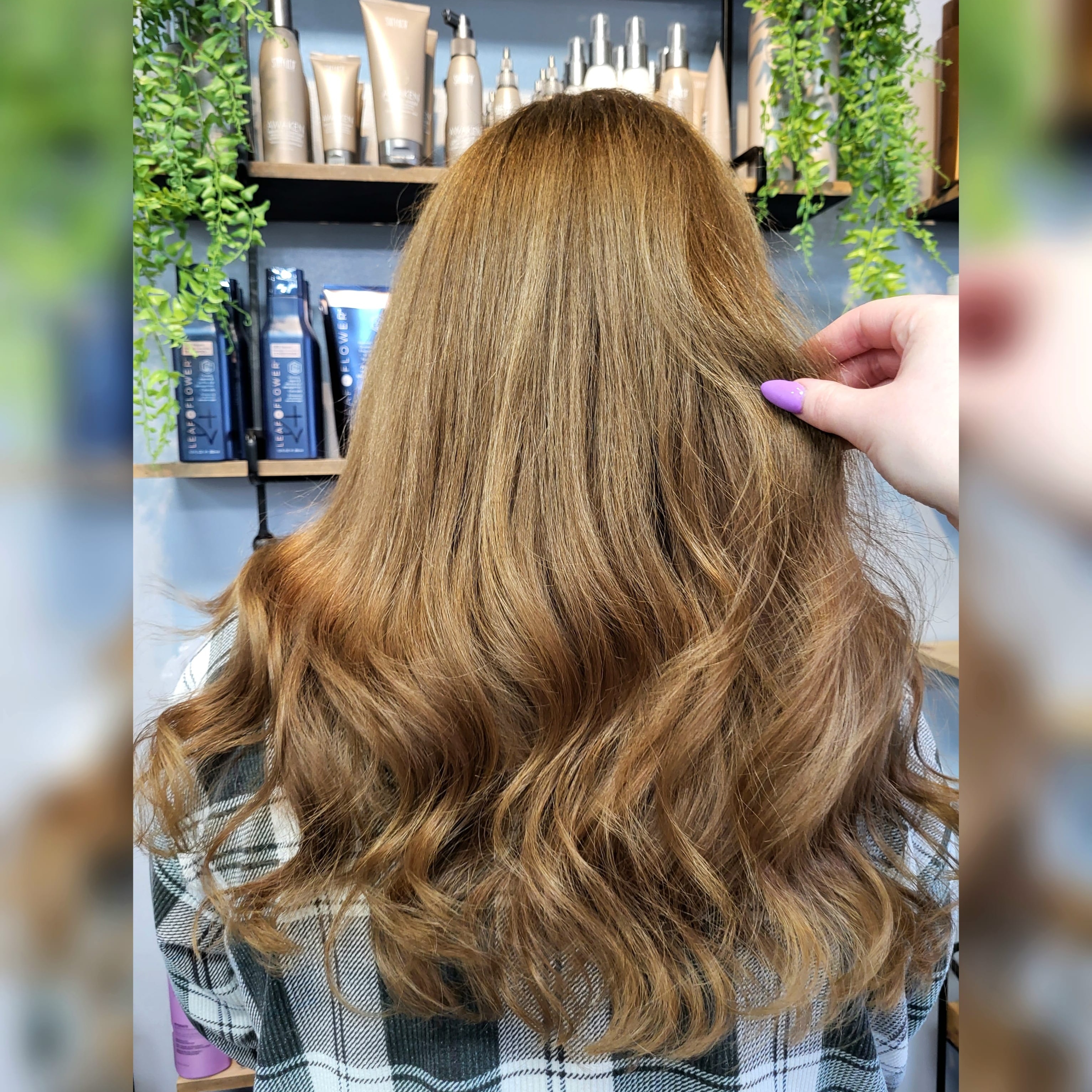 Base Color (roots) at VS Hair By Sarah in Ann Arbor, MI