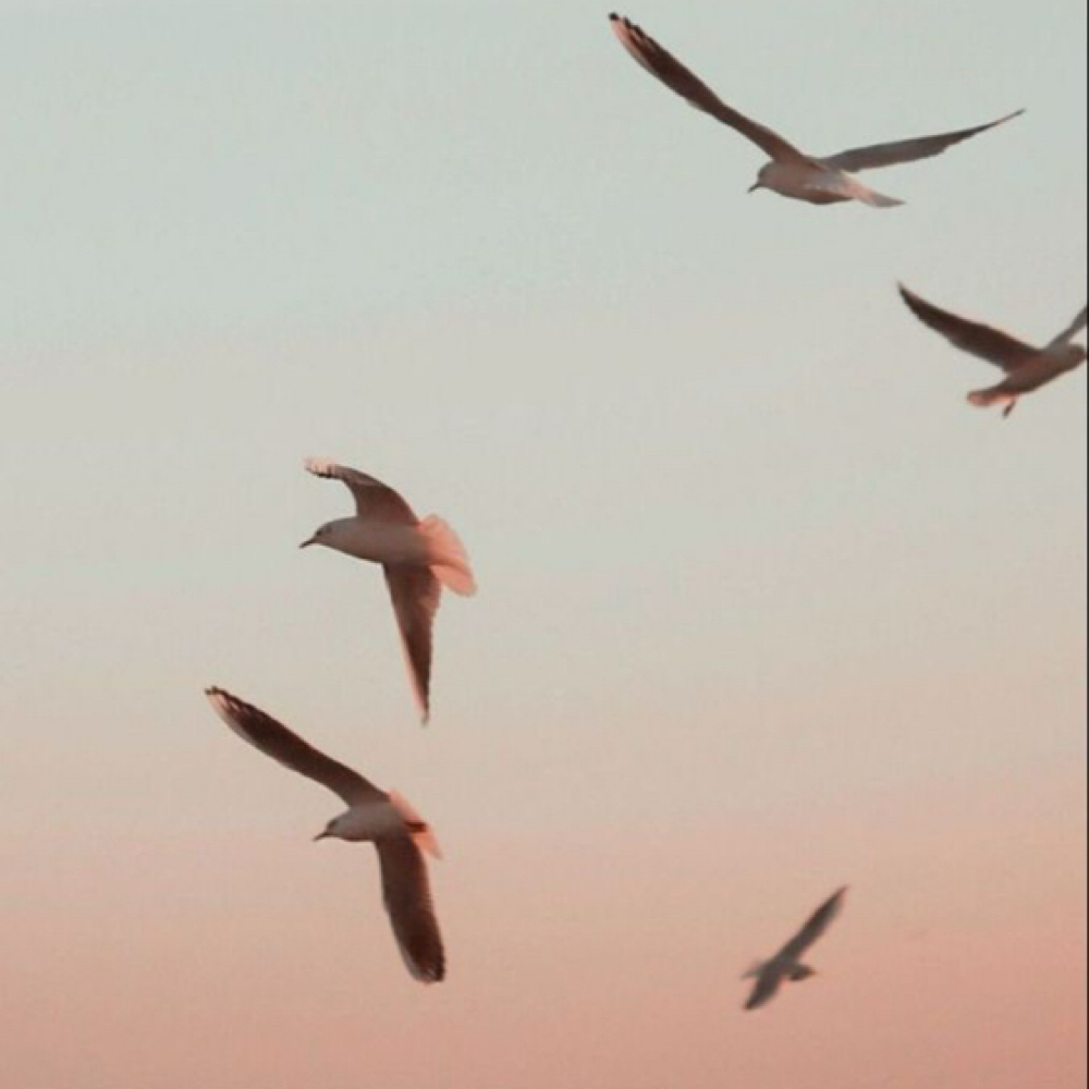 All Over Color at Mane Evolution Hair in South Pasadena, FL