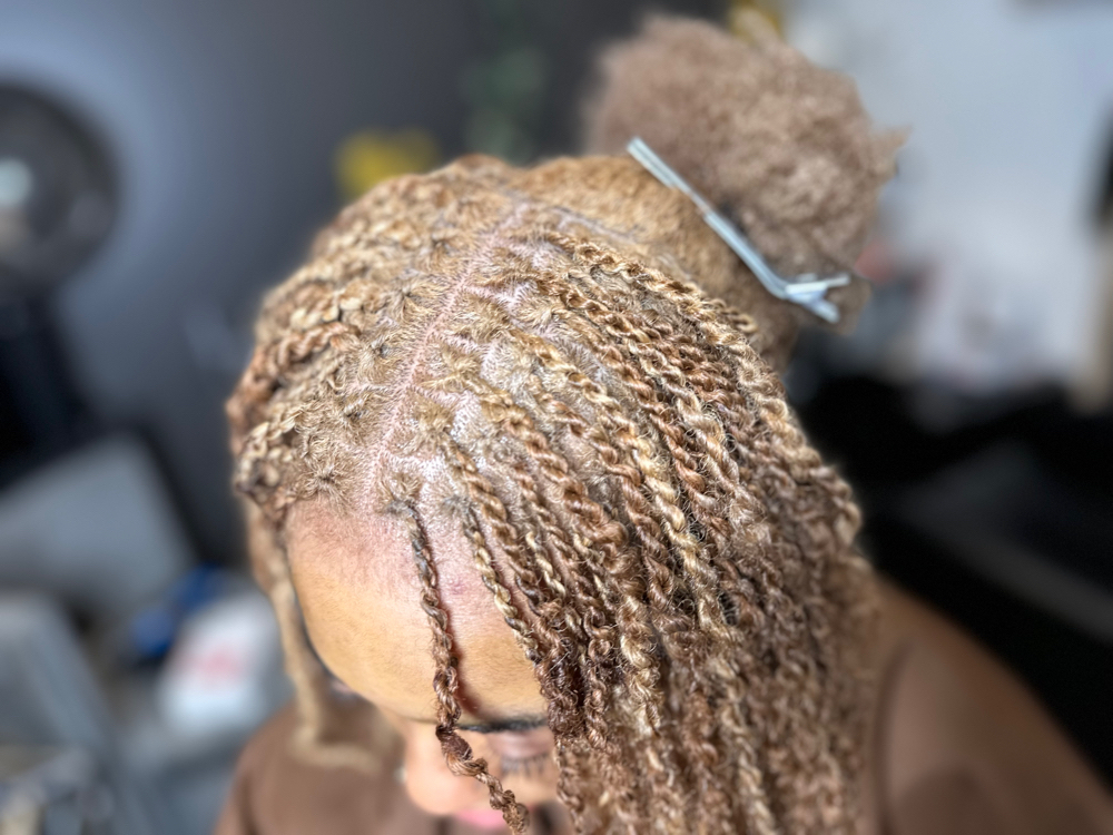 Microlocs Root Touch Up