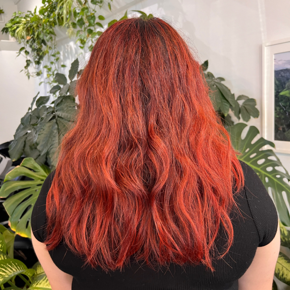 Root Touch Up With A Gloss at The Salon USC Village in Los Angeles, CA