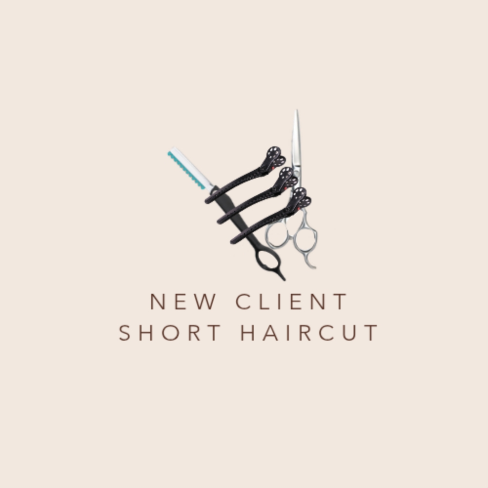 New Client Short Cut at Sarita Anzalone in Lee, MA