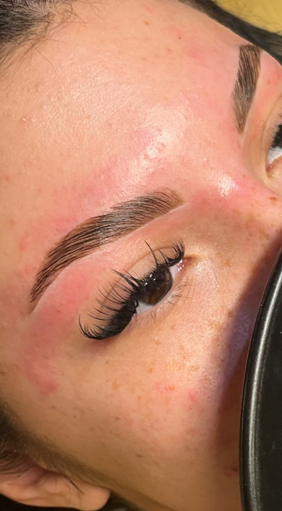 Hybrid Brow Dye Trifecta