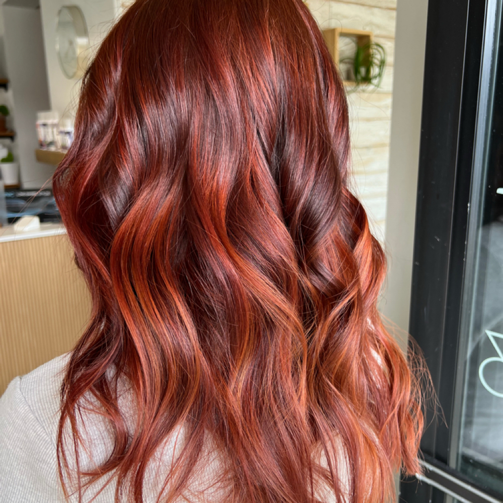 Haleys All Over Color at Salon RISE Tacoma in Tacoma, WA