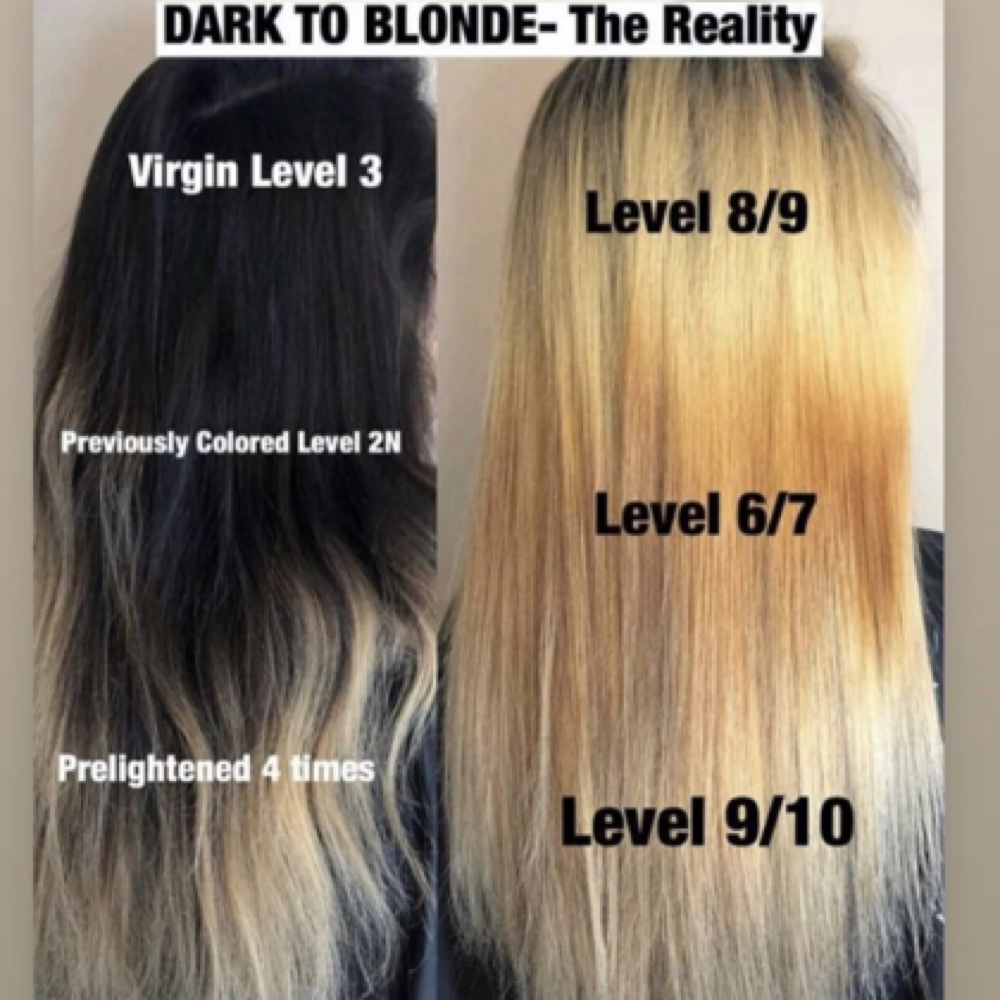 Color Correction at Raini @ Hallowed Roots Hair Co. in Waynesville, NC