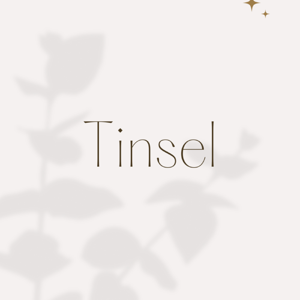 Tinsel at The Revival Studio in New Bedford, MA