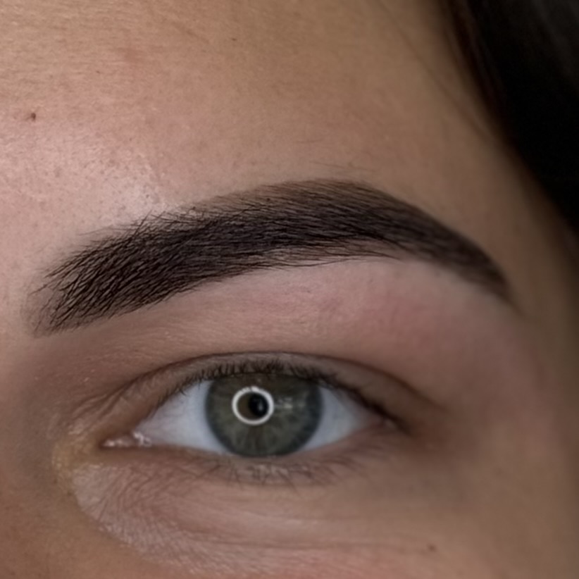 Eyebrow design (shape+tint)