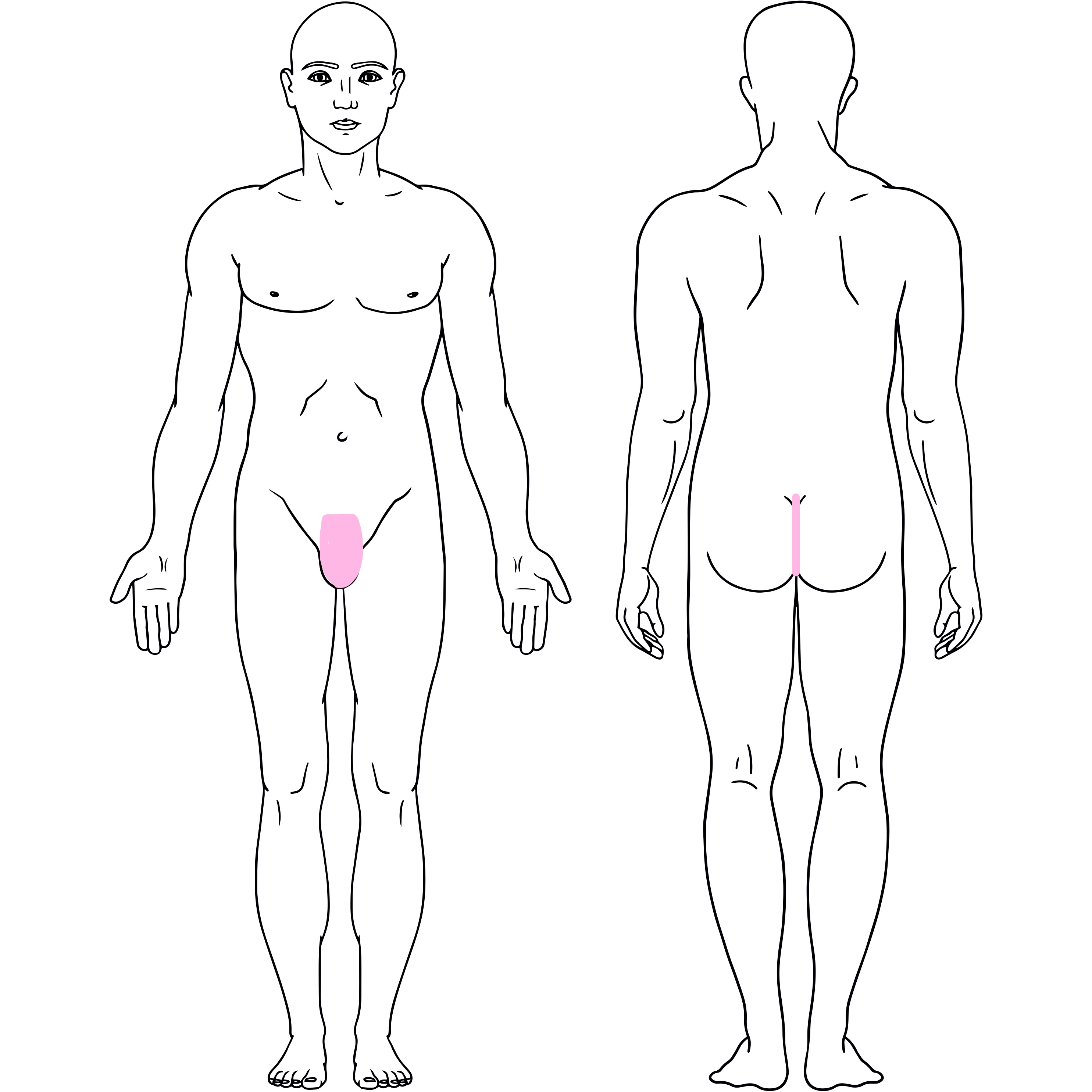 Labia