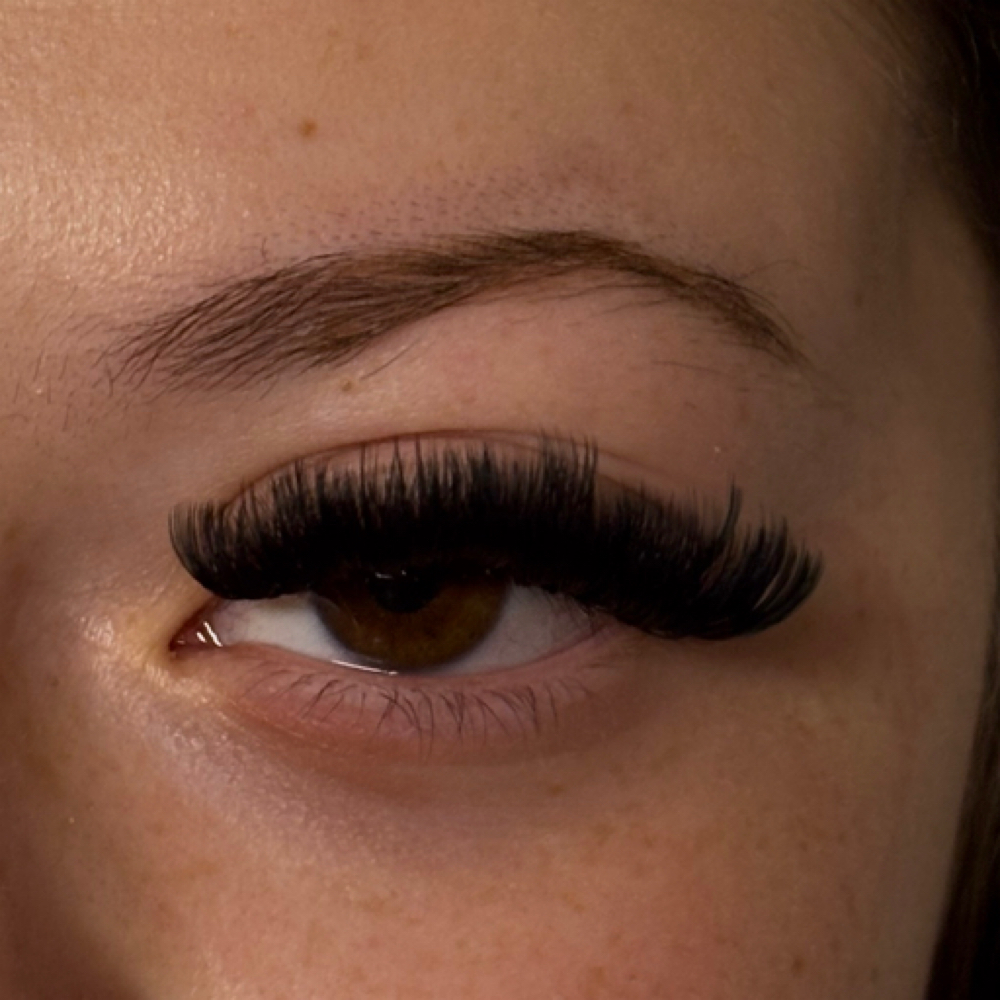Volume 2 Week Fill at Sersi Beauty in Albuquerque, NM
