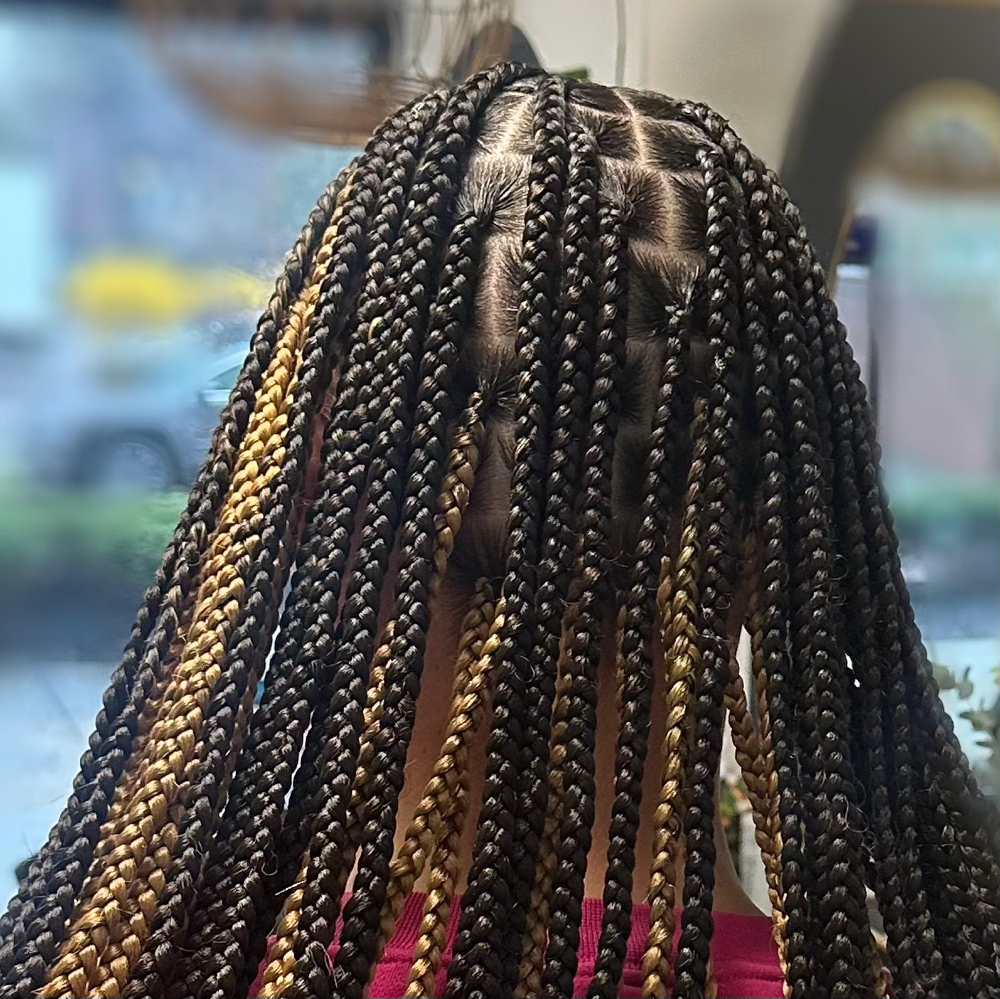 Small Knotless -Boho Hair Not Prov