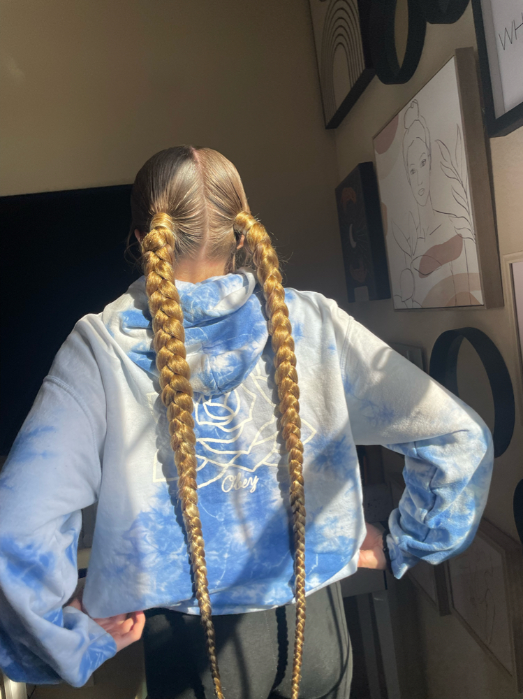 Two Extended Braided Ponytail’s