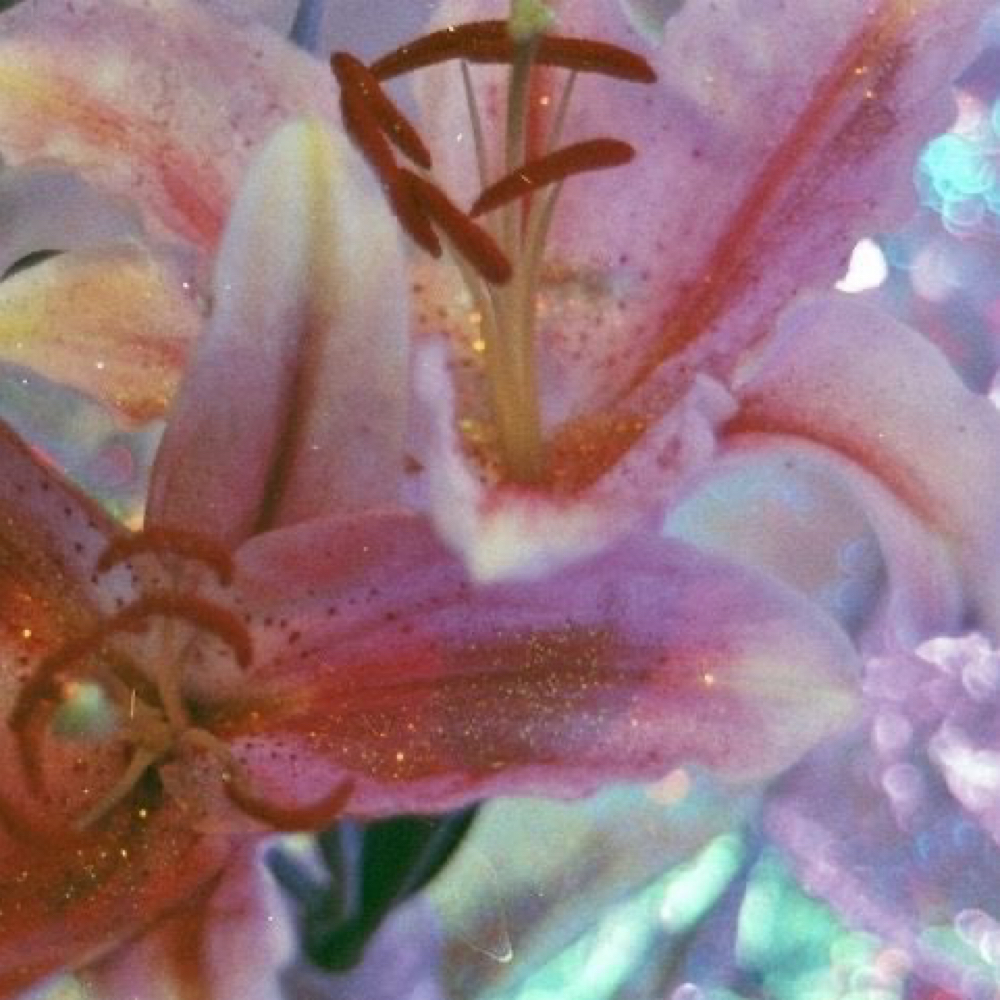 Consultation at Third Day Hair in Catonsville, MD