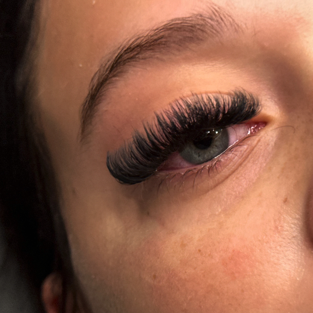 Volume Lashes