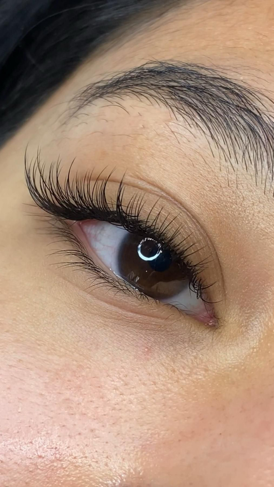 Classic Refill at Brushaway Lash Studio in Elgin, IL