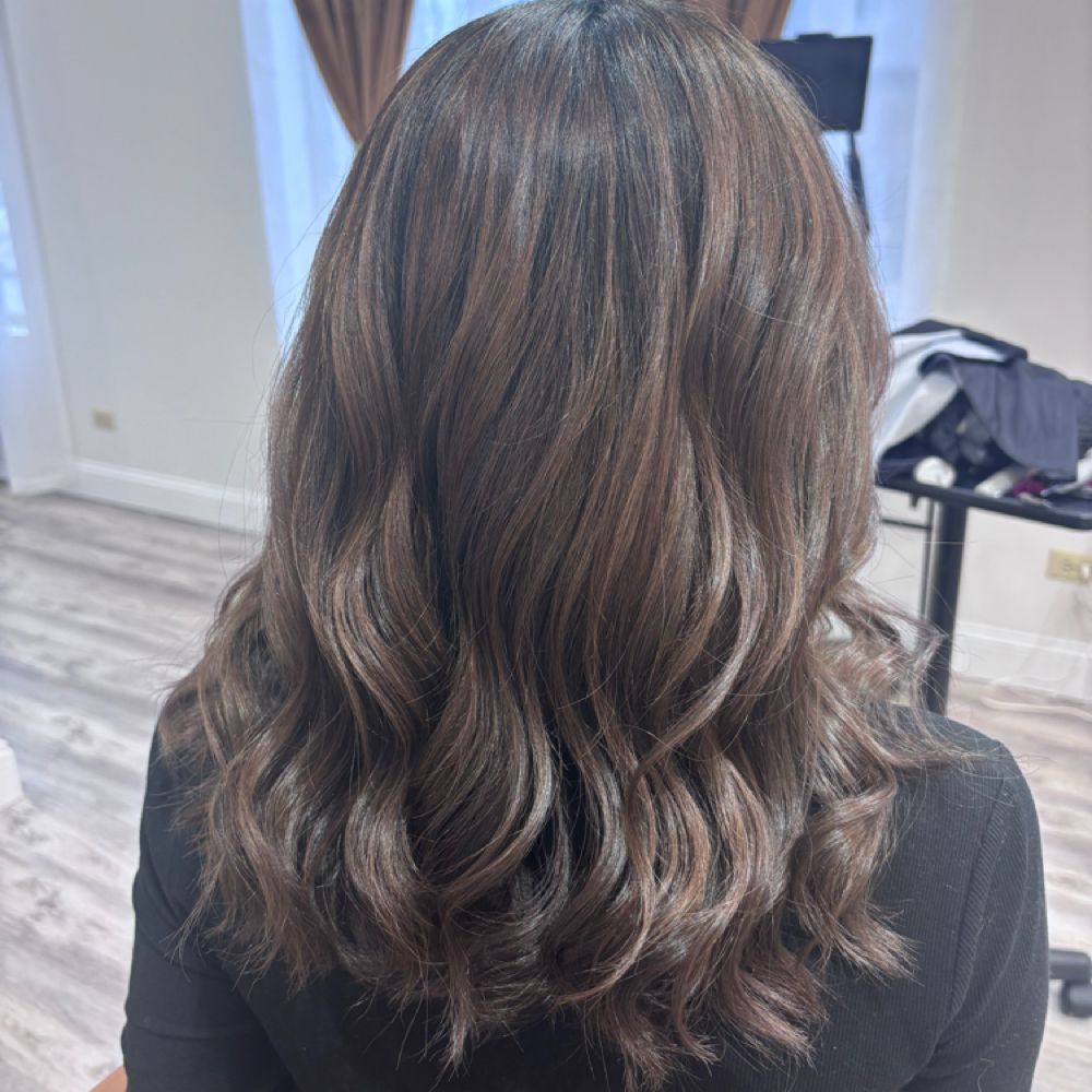 Toner- Gloss- color Refresh at Meza Beauty in Mundelein, IL