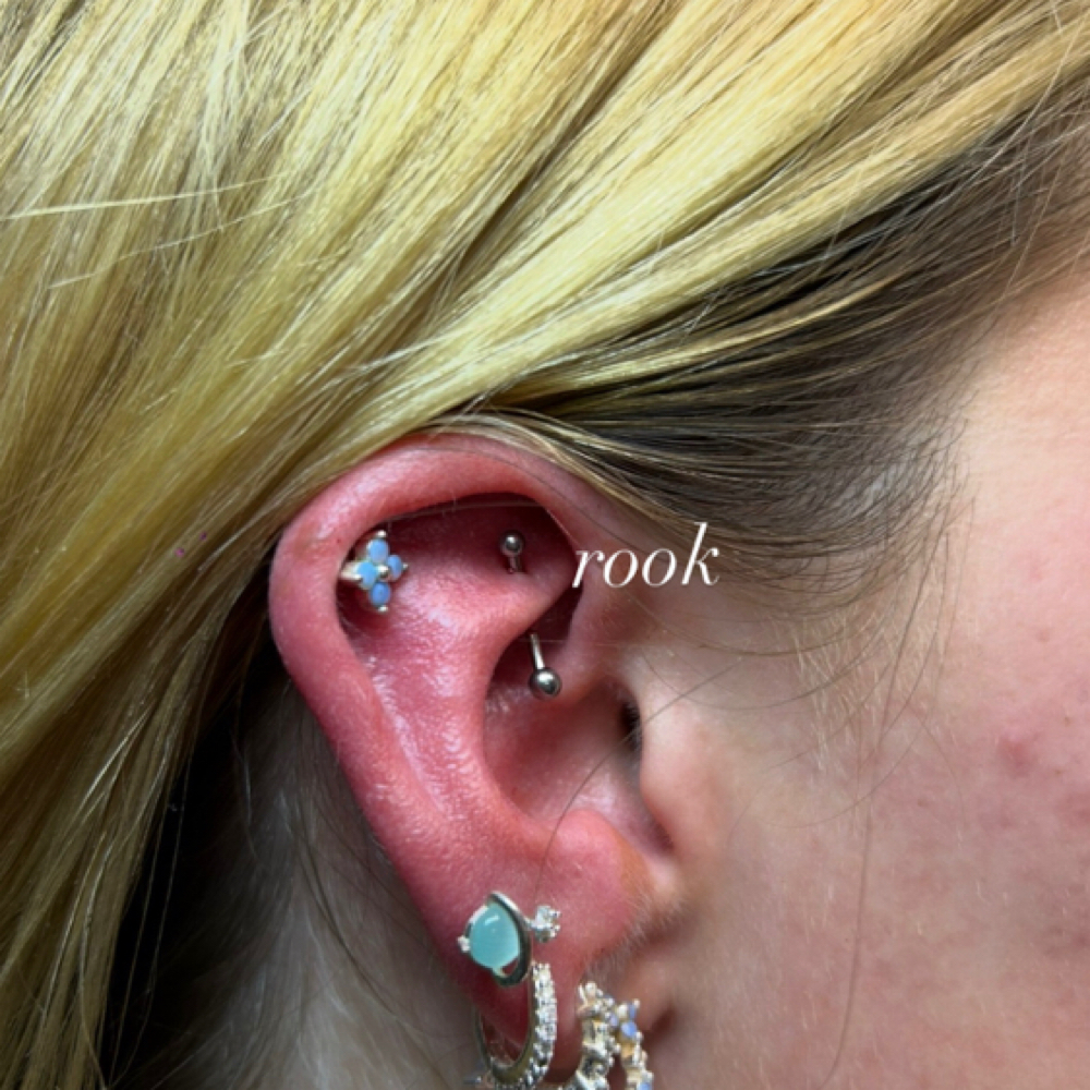 Rook at Tattoo Tech in Moraine, OH
