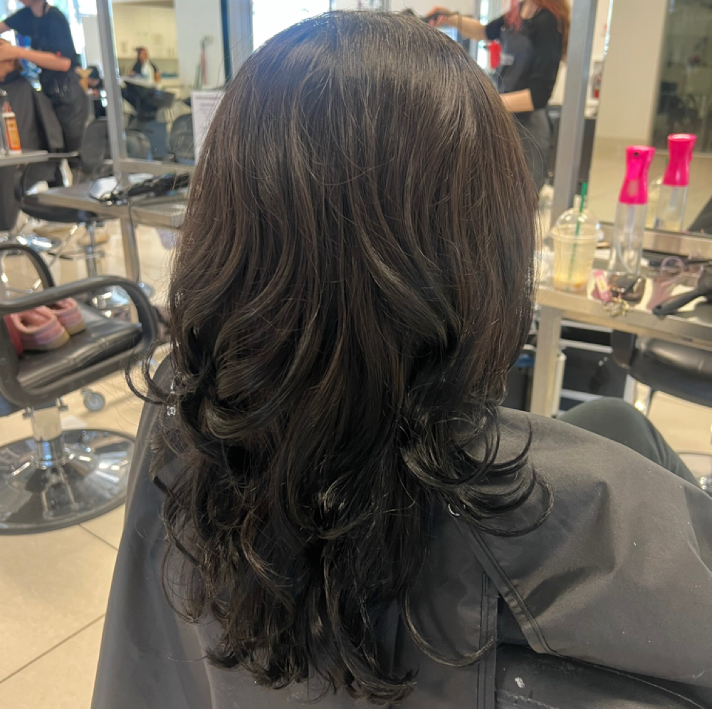 Wash & Blowout at Lilac Dreams in Shoreline, WA