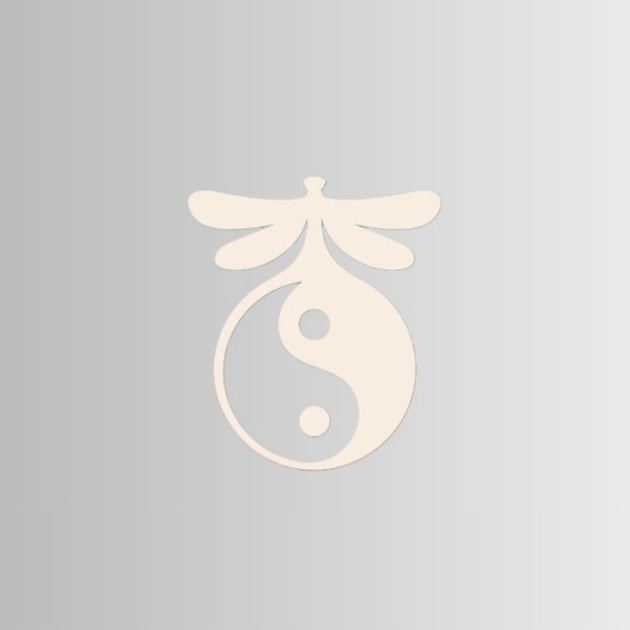 The Platinum Zen Dragonfly at Zen Dragonfly Massage Therapy LLC (Center Valley, PA) in Center Valley, PA