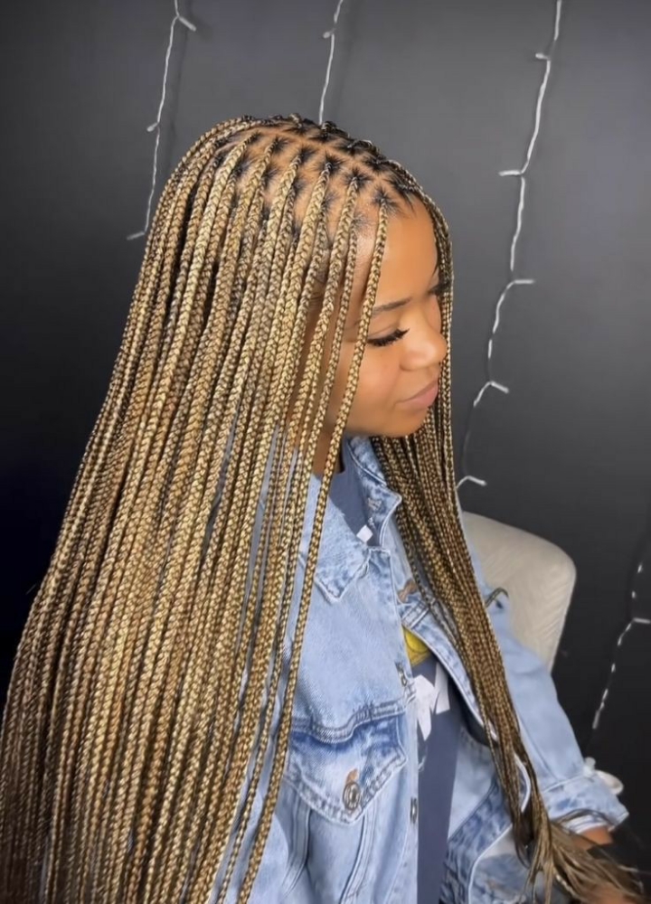 Knotless Braids (Sm/M/LG)