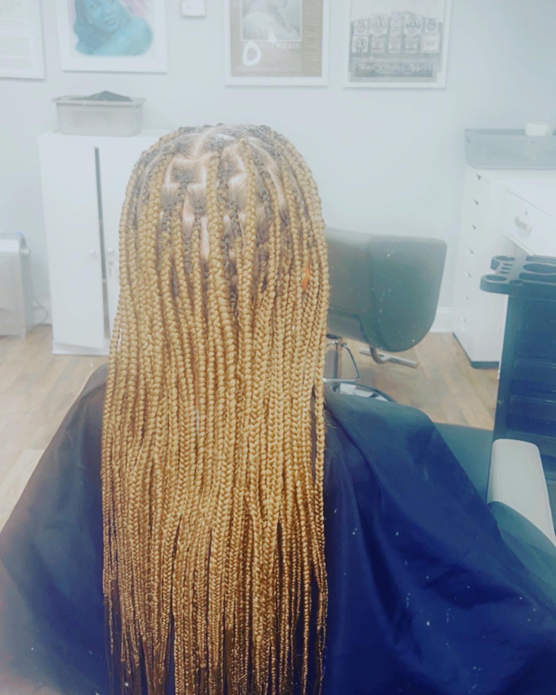 Small Knotless Braids