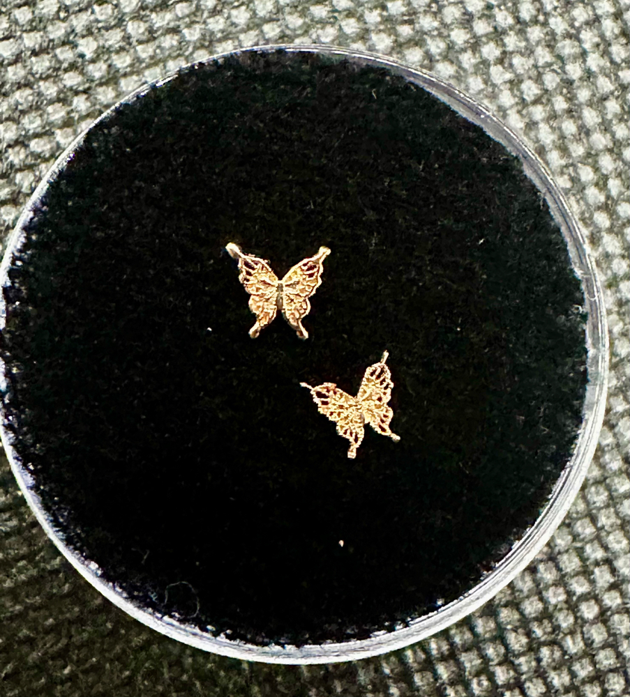 THE TROPICAL [BUTTERFLY]