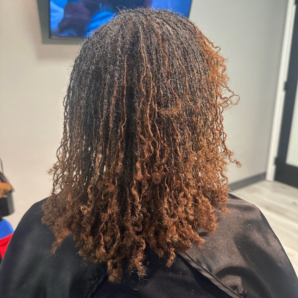 SENIORS (Current Clients,Not New) at Hairitage LOC Lab in Farmers Branch, TX