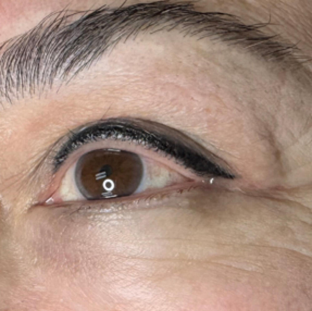 Eyeliner Enhancement Uppers at Skin Fixation & Esthetic Training in Port Saint Lucie, FL