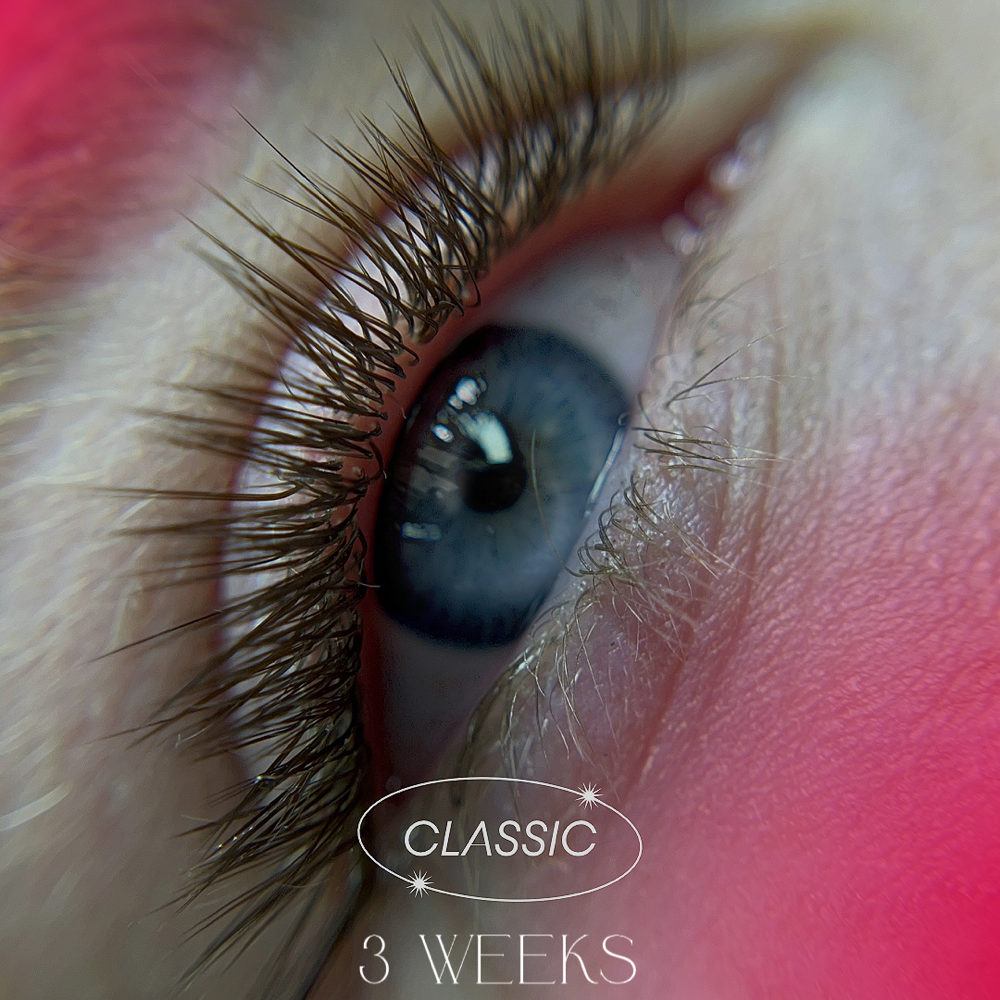 Classic 3 Weeks Fill