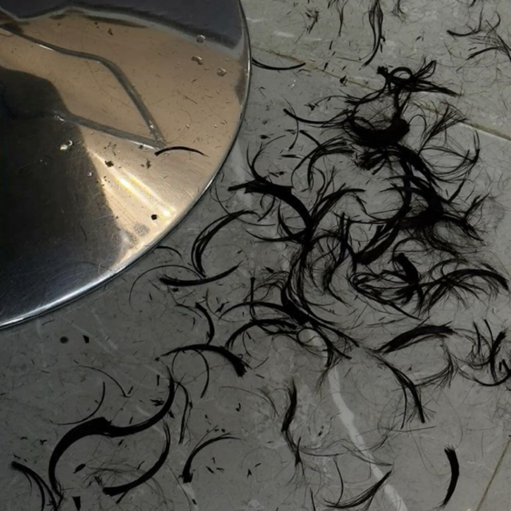 Basic Haircut at The Rooted Mane in hustonville, KY