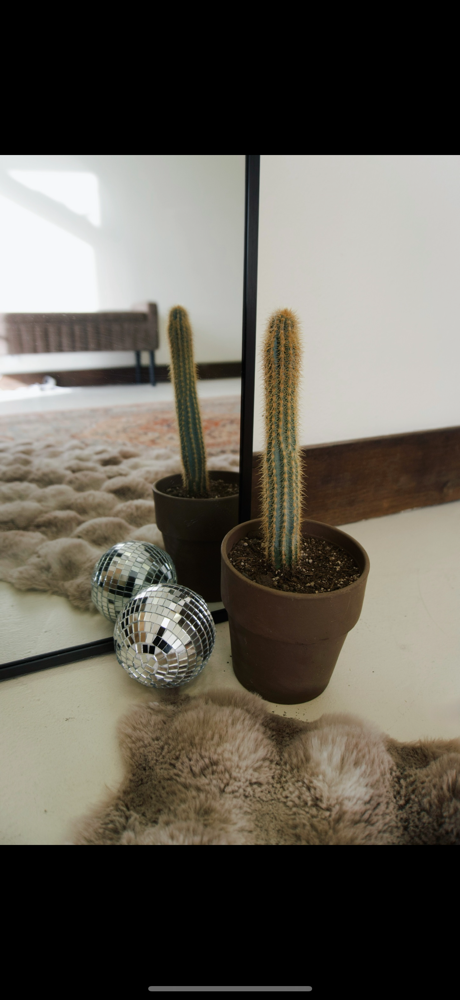 UPPER LIP at WAX BAR SKIN STUDIO in Richland, WA