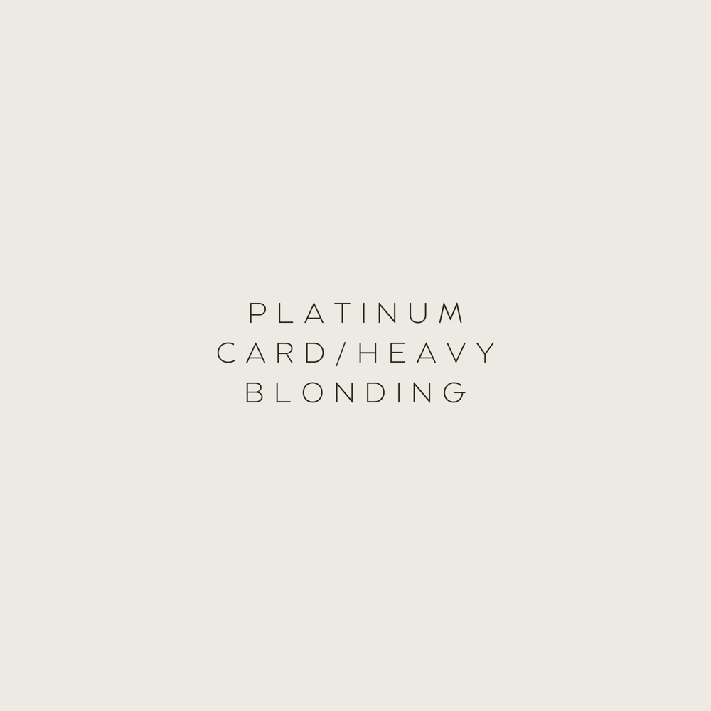 Platinum Card/Heavy Blonding at K | K Hair in Bend, OR
