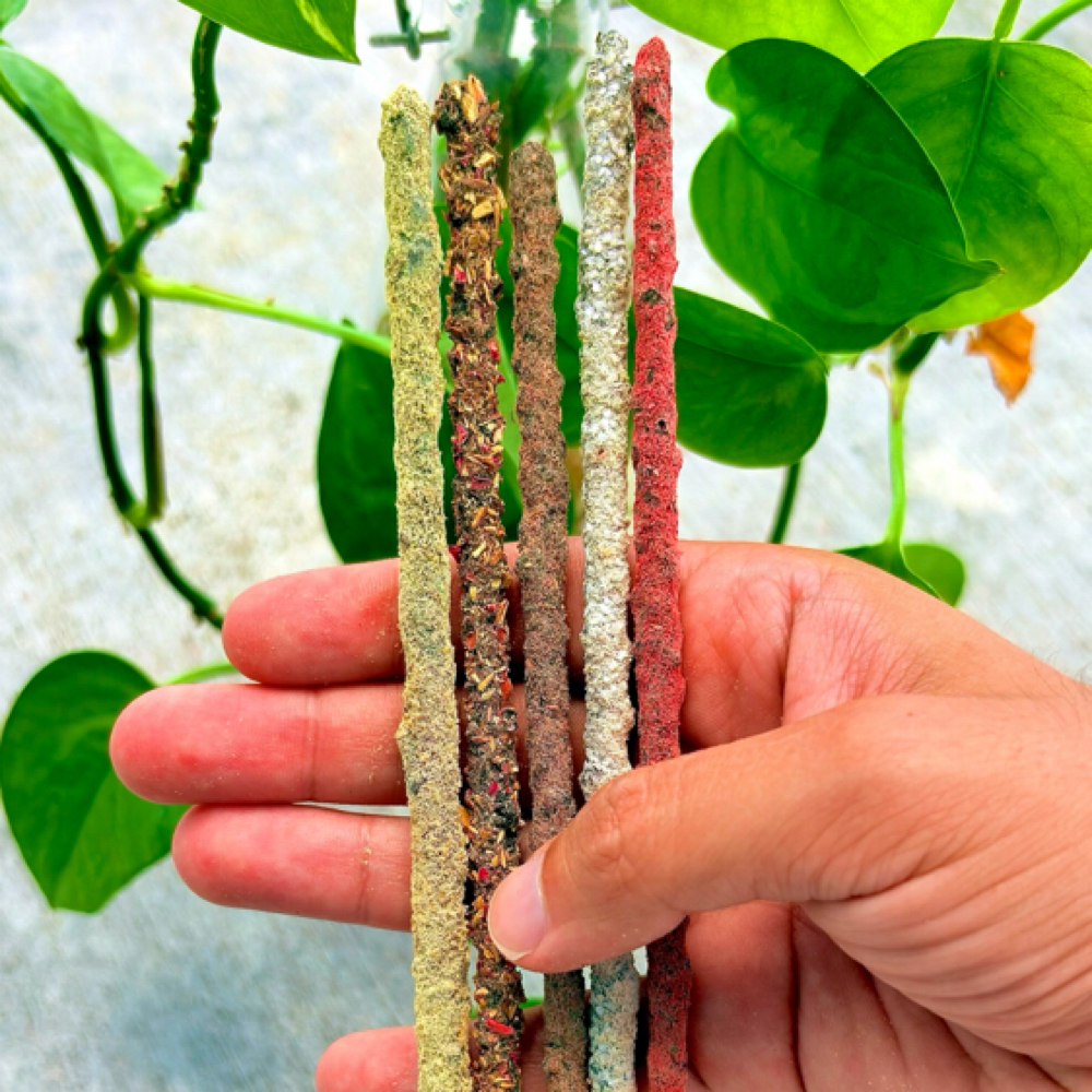 Incense Ritual at Casa Copal Organic Spa in Dallas, TX