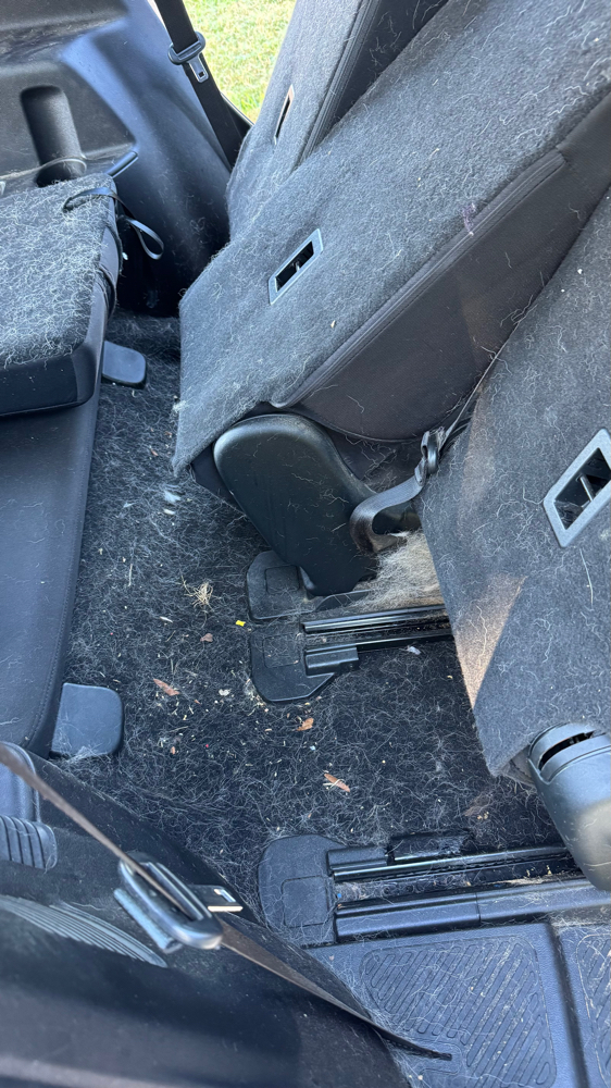 (Add On) Pet Hair Removal