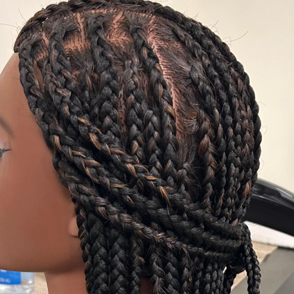 Medium Knotless/Waist Length at SC Signature Hair Salon in Vestavia Hills, AL