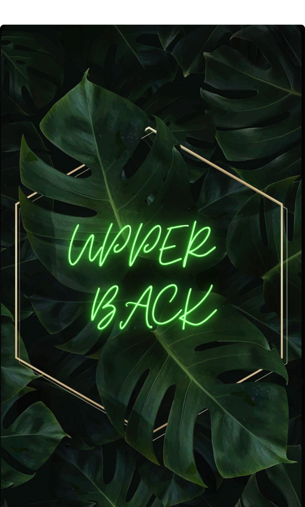 Upper Back