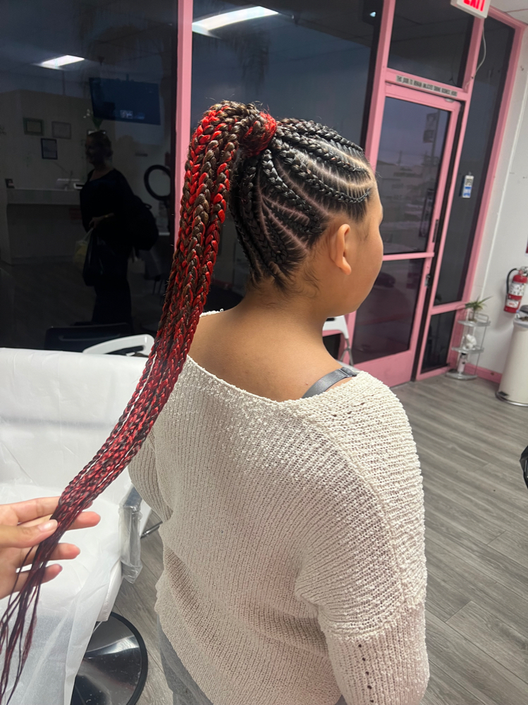 Braid up Ponytail