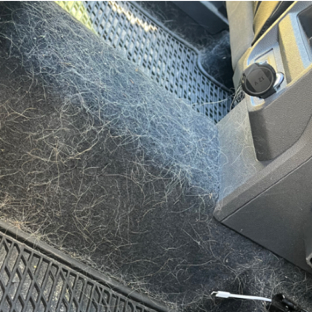 The Basics - SUV (w/ Animal Hair) at Glover Express Detailing in Lewiston/Auburn, ME