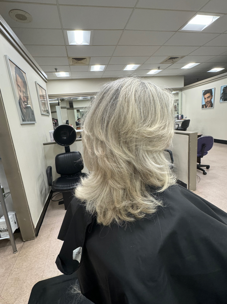 Shampoo, Haircut, & style.