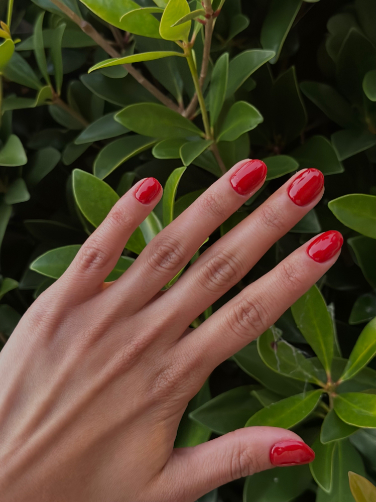 Gel Overlay Fill