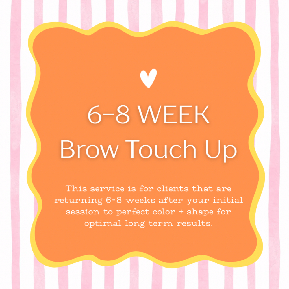 6-8 week Brow Touch Up