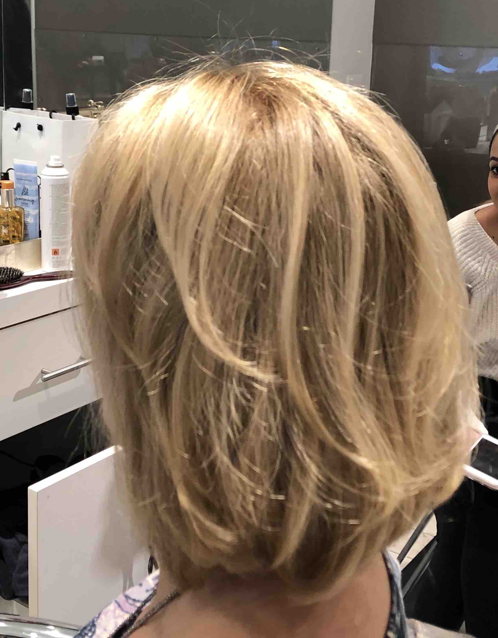 Single Process Color /Haircut