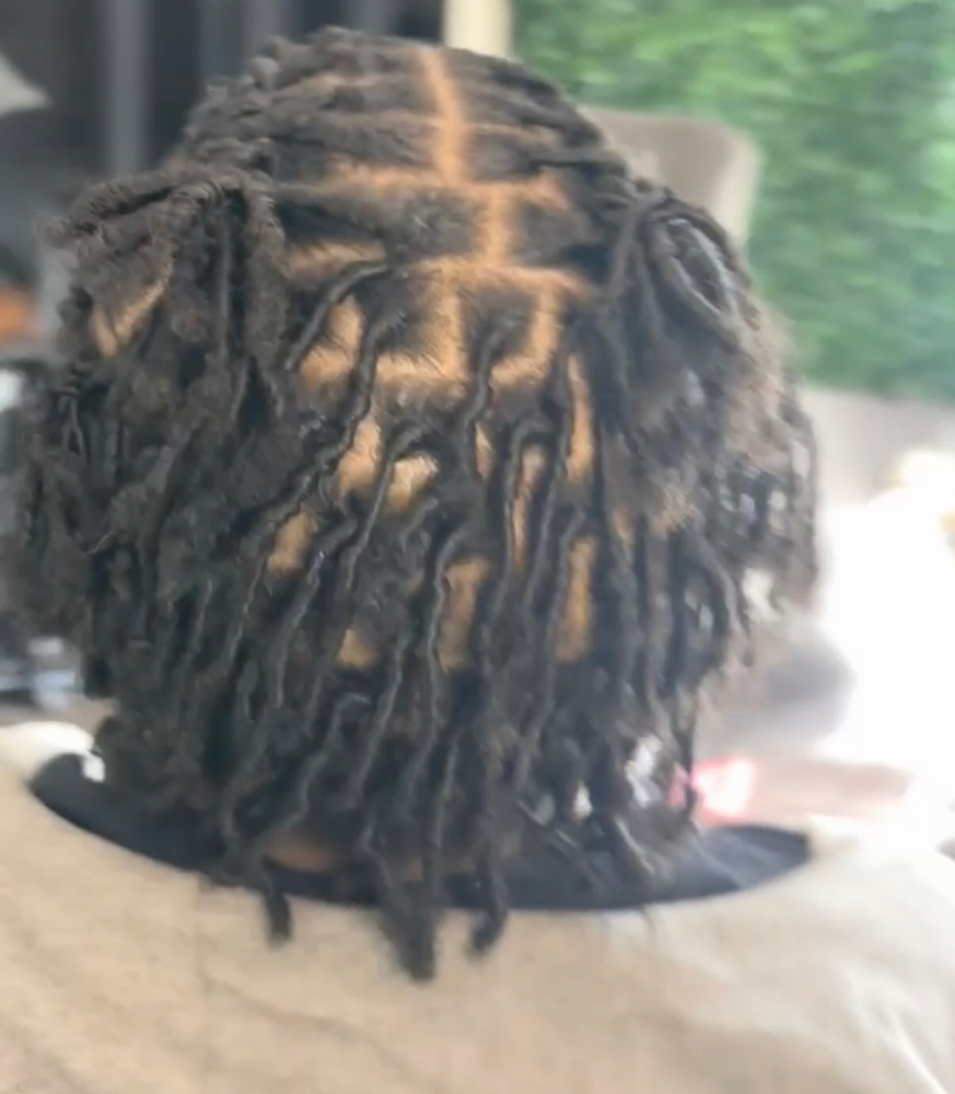 Starter Locs at Unique’ Creationz by Jhene’ in Jacksonville, AR