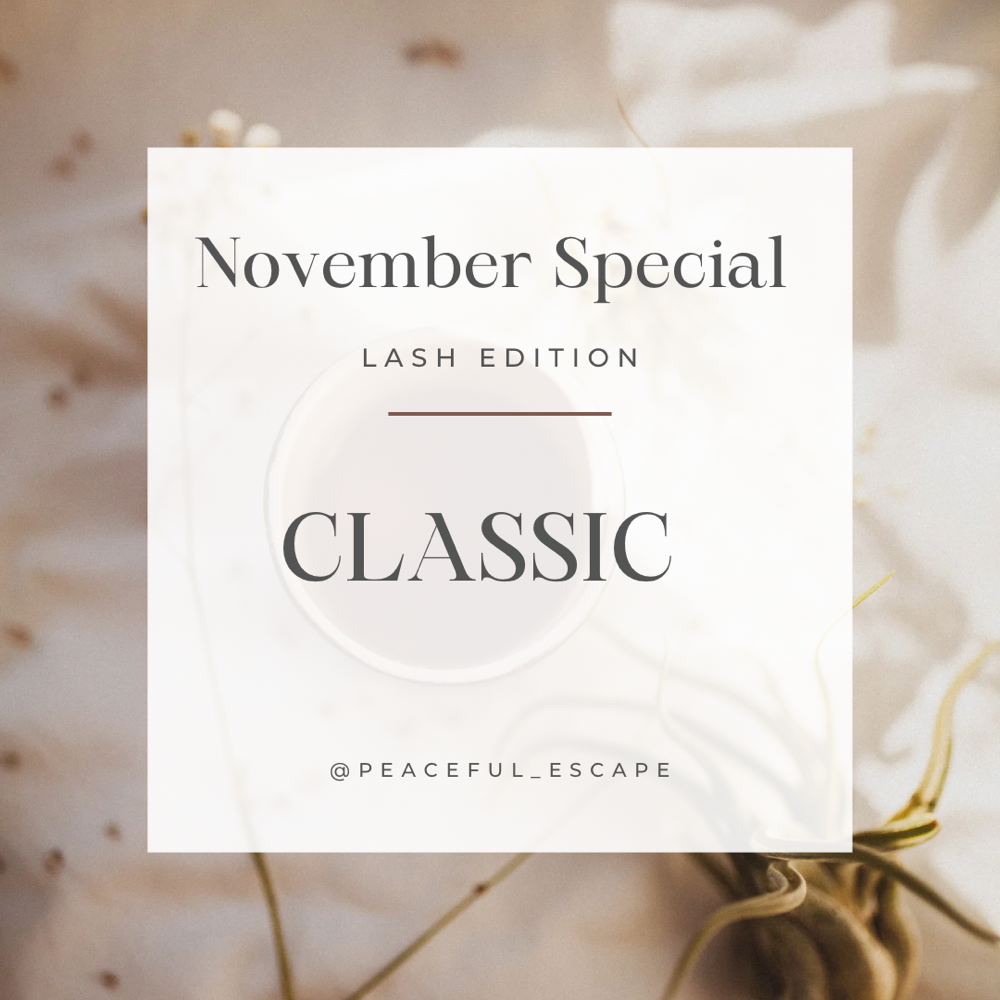 Nov Lash Special