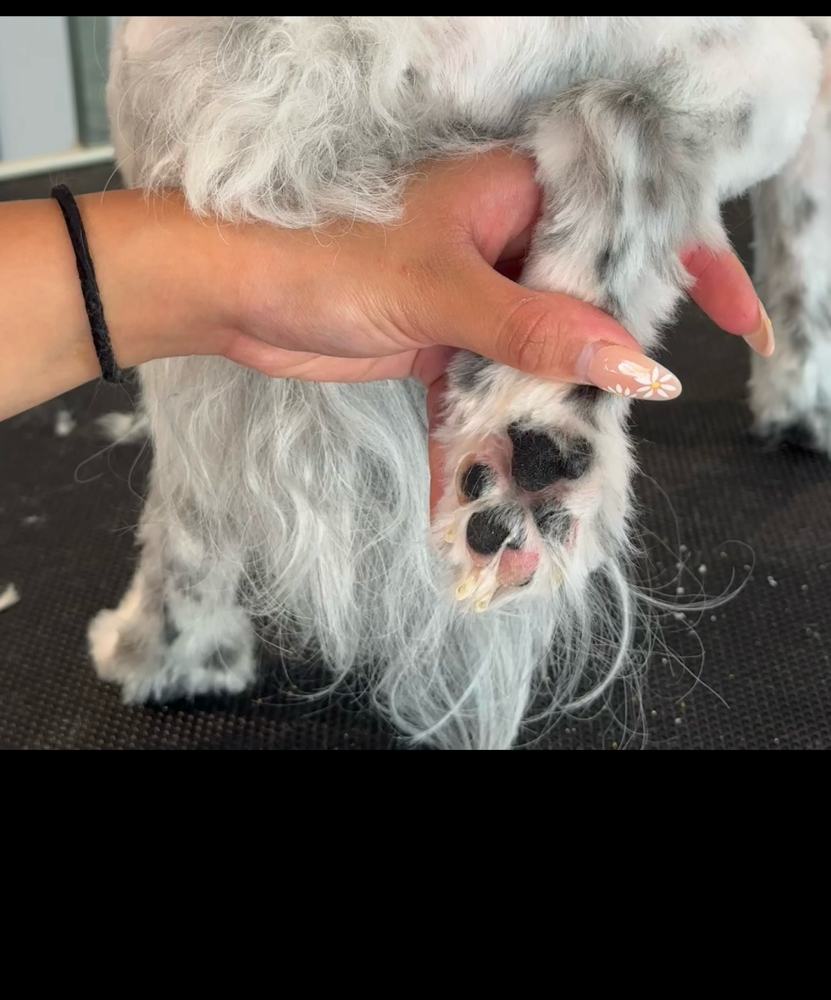 Nail Trimming