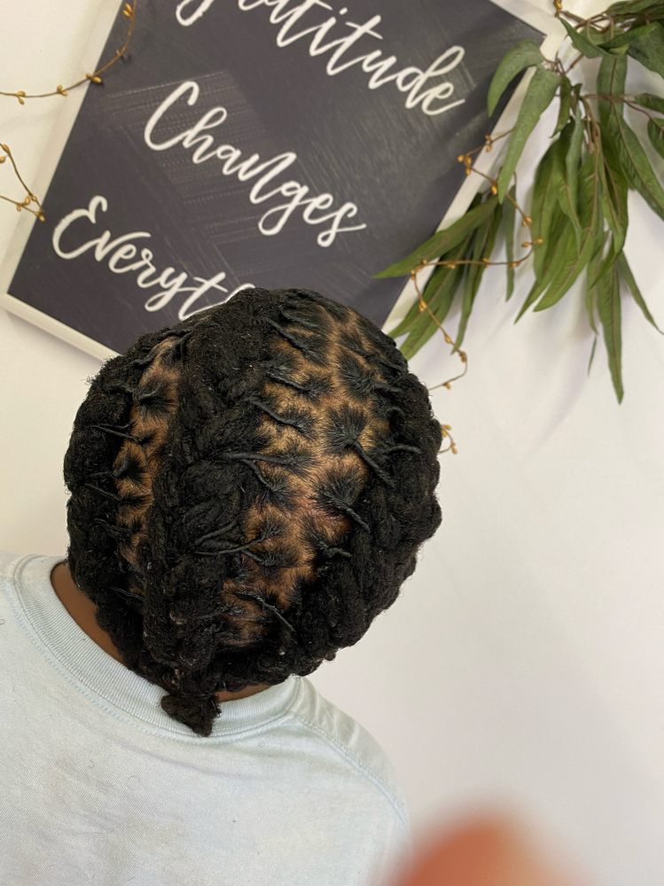 Starting+Style Locs Whole Crown