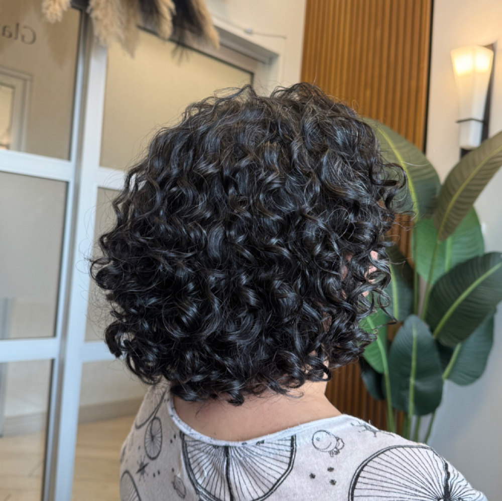 Women’s Dry Curly Cut at Glazed Color Bar in Yonkers, NY