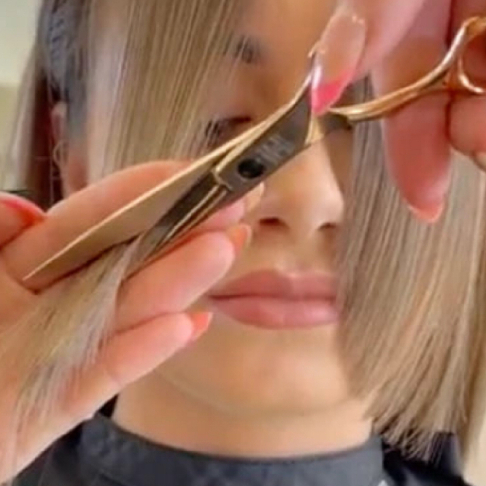 Master Stylist-Precision Haircut