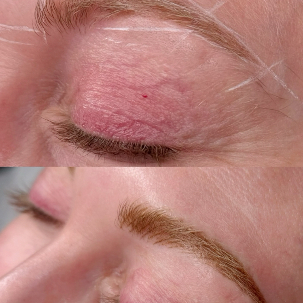 Nano Brows Model at Ink & Gold in Wheat Ridge, CO