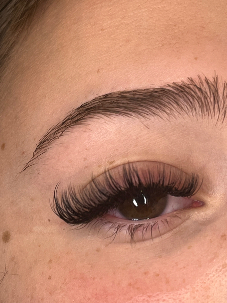 Hybrid Extentions