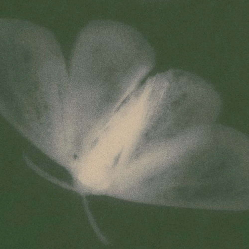 Lymphatic Facial Massage at Alexxa Esthetic in Berkley, MI